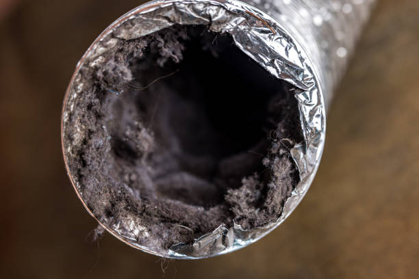 Air Duct Mold Removal in Saint Davids, PA
